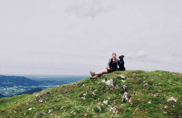 Hundetreffen-Wandern mit Hund 🥾-Bild