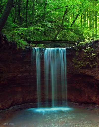 Hundeauslaufgebiet-Hörschbach Wasserfälle-Bild