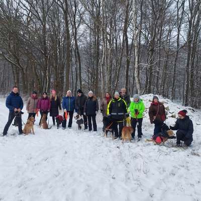 Hundetreffen-Spaziergang Verein der Hundefreunde und des Tierschutzes Hunsrück e.V.-Bild