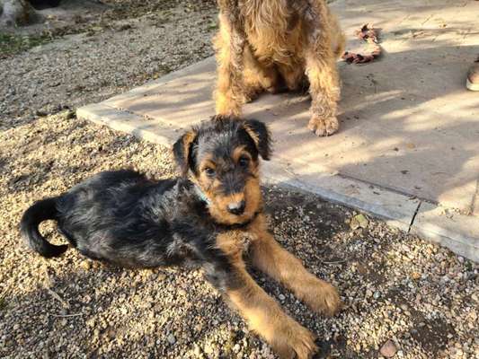 Foto Challenge 82-Beitrag-Bild