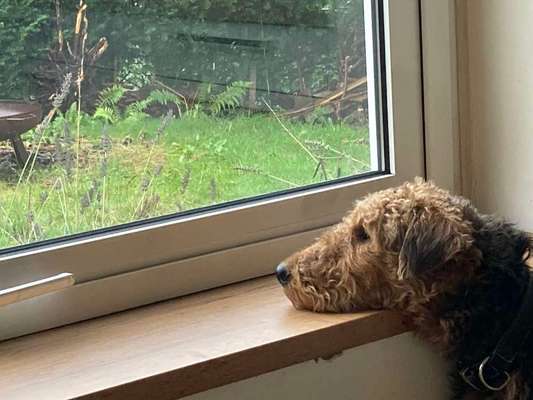 120. Fotochallenge-Beitrag-Bild