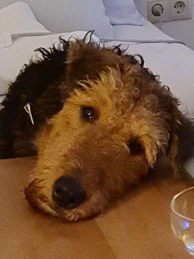 Zeigt eure Portraits-Beitrag-Bild