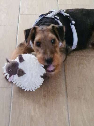 Fotochallange Nummer 5-Beitrag-Bild