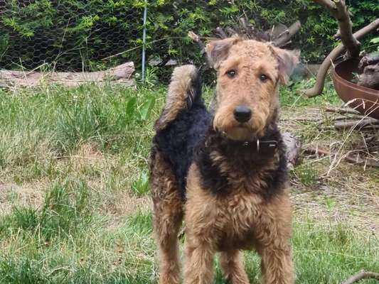 Ist das ein...?-Beitrag-Bild