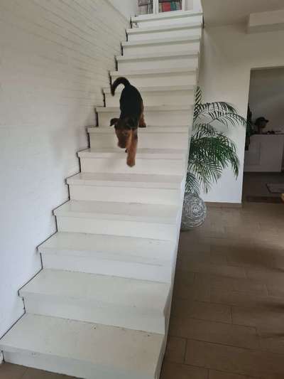 21. Handy-Foto-Challenge-Beitrag-Bild