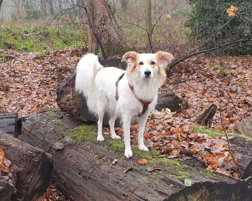 Doppelgänger gesucht !-Beitrag-Bild