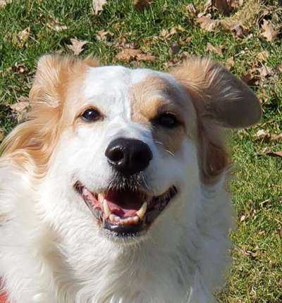 Doppelgänger gesucht !-Beitrag-Bild