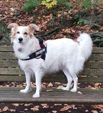 Doppelgänger gesucht !-Beitrag-Bild