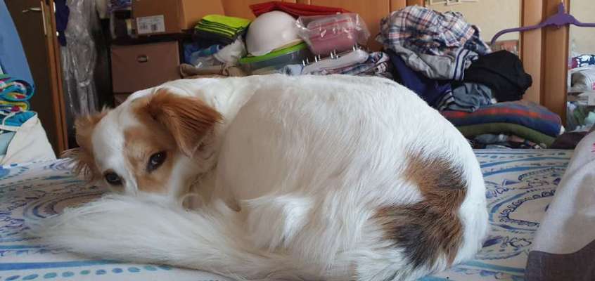 Außergewöhnliche Merkmale-Beitrag-Bild