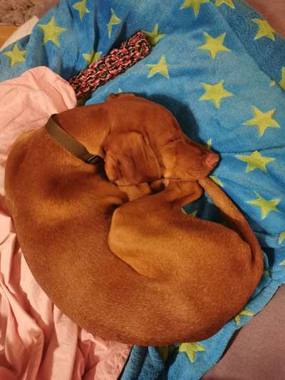 Fotochallange - Eingekugelt-Beitrag-Bild