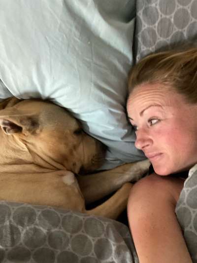 Lieblingsbild von euren Hunden?-Beitrag-Bild