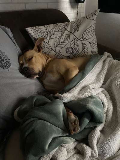 CHALLENGE NR. 34 - Liege-/Schlafpositionen-Beitrag-Bild