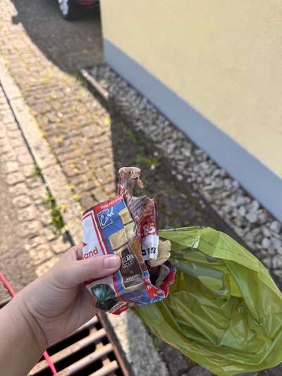 Giftköder-Knochen eingepackt-Bild