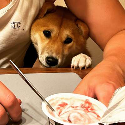 147. Foto Challenge: Bettelblick-Beitrag-Bild