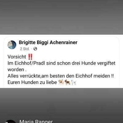 Giftköder-Giftköder-Bild