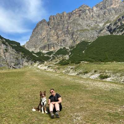 Hundetreffen-Statisten für Hundetraining gesucht-Profilbild