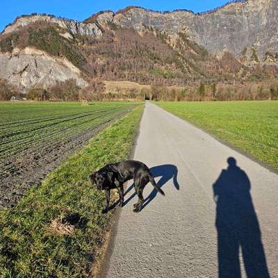 aktuelles Foto Gruppe Körpersprache lesen & verstehen