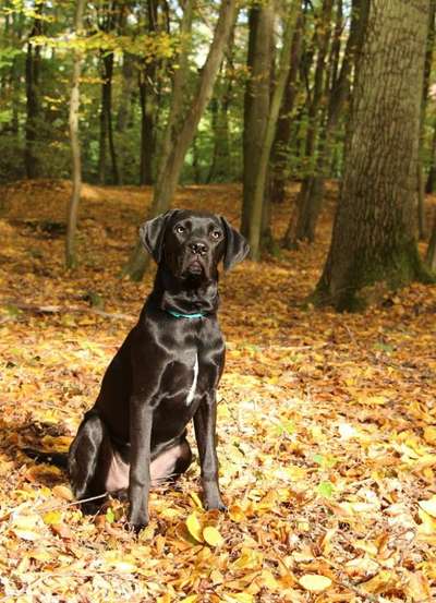 Fotochallange Nr. 57     PORTRÄT.   Beendet!!!!!!!!-Beitrag-Bild