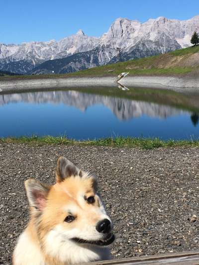 Dogorama-Monats-Challenge-Mai "Wasser"-Beitrag-Bild