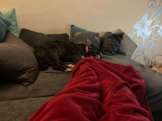 Mythen und warum sie sich so hartnäckig halten-Beitrag-Bild