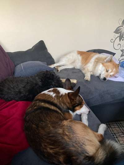 Die unbequemsten und lustigsten Schlafpositionen-Beitrag-Bild