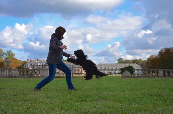 Dogorama Photo Challenge - Tricks, Tricks & Tricks!-Beitrag-Bild