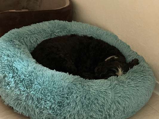 Erfahrung mit Wolkenbett-Beitrag-Bild