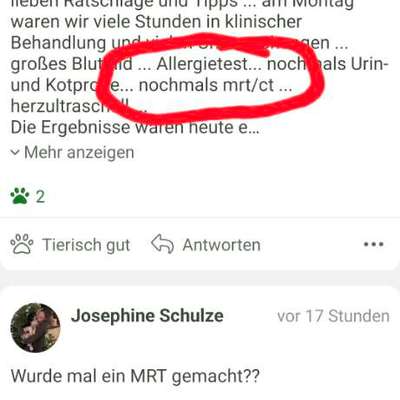 Krampfanfälle ... keine Epilepsie-Beitrag-Bild