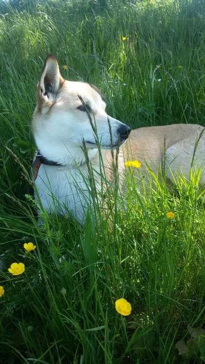 Fotochallange Nr. 57     PORTRÄT.   Beendet!!!!!!!!-Beitrag-Bild