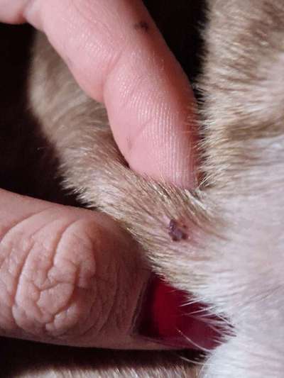 Hautveränderung-Beitrag-Bild