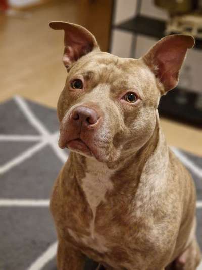 Hautveränderung-Beitrag-Bild