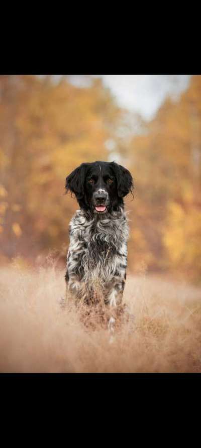 Herbst-Beitrag-Bild