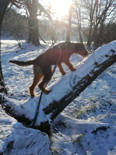 Der erste Schnee, zeigt uns eure tollen Schneemomente-Beitrag-Bild