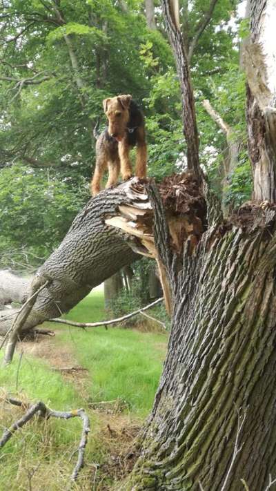 23. Handy Foto-Challenge-Beitrag-Bild