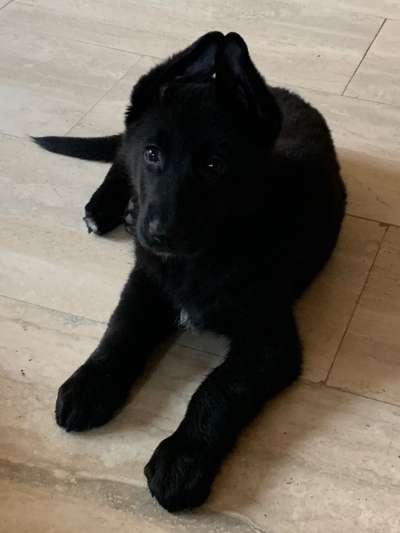 Sie werden so schnell erwachsen ...-Beitrag-Bild