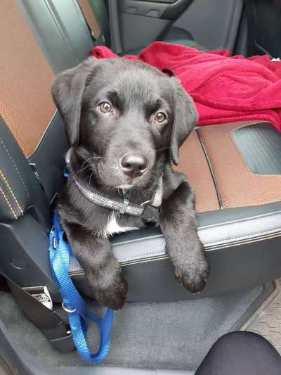 Lieblings Schnappschuss?-Beitrag-Bild