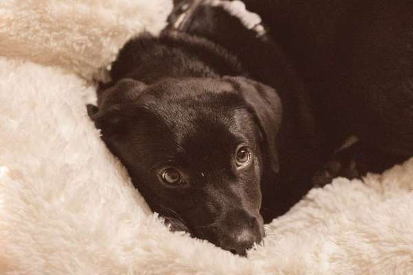 Lieblings Schnappschuss?-Beitrag-Bild