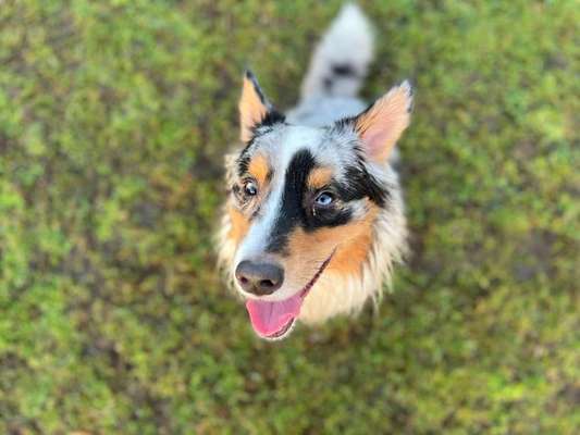 Von oben-Beitrag-Bild