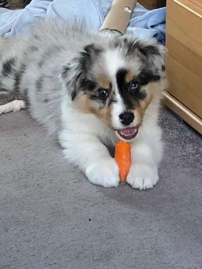 Fotochallenge Nr. 64-Beitrag-Bild