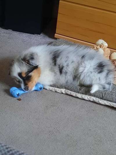 Lieblingsbild-Beitrag-Bild