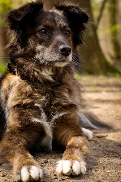 Fotochallenge Nr. 56 - geliebte Senioren-Beitrag-Bild