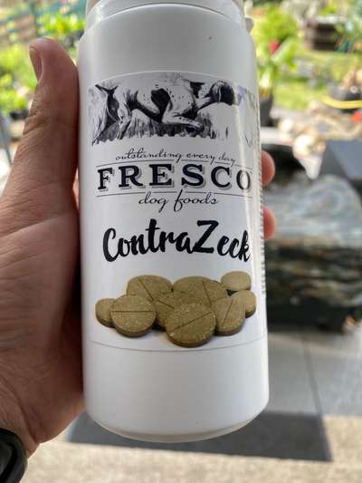 Französische Bulldoggen-Beitrag-Bild