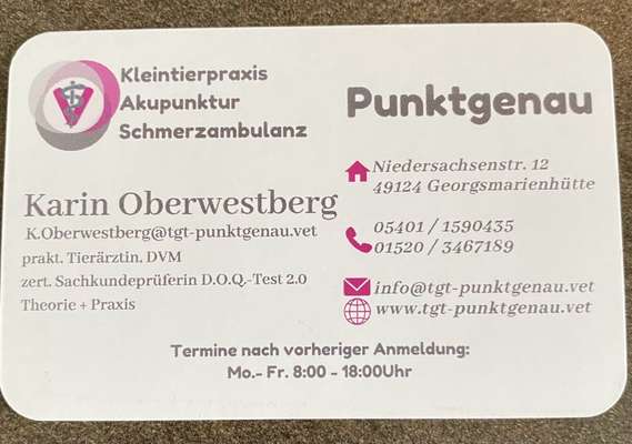 Tierärzte-Punktgenau-Bild