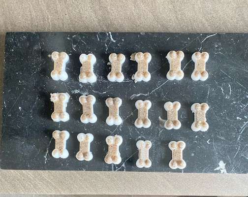 Französische Bulldoggen-Beitrag-Bild