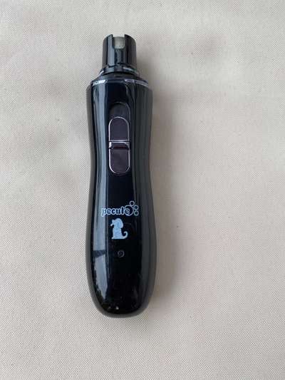 Französische Bulldoggen-Beitrag-Bild