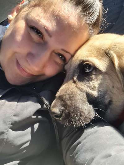 Kangal Fans ! ! ! !-Beitrag-Bild