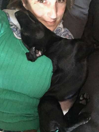 Dogorama Photo Challenge - Selfie Time!-Beitrag-Bild