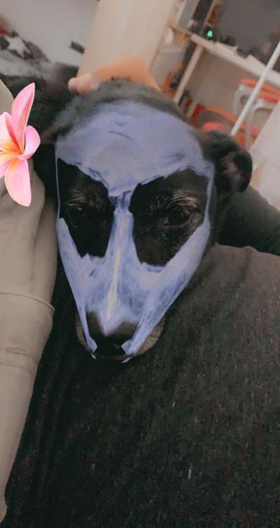 LUSTIGE FOTOS! WER KANN MITHALTEN?-Beitrag-Bild