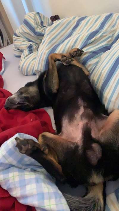 LUSTIGE FOTOS! WER KANN MITHALTEN?-Beitrag-Bild