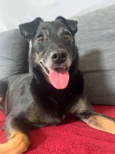 LUSTIGE FOTOS! WER KANN MITHALTEN?-Beitrag-Bild